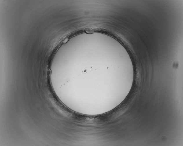 X0000113150493200909251331