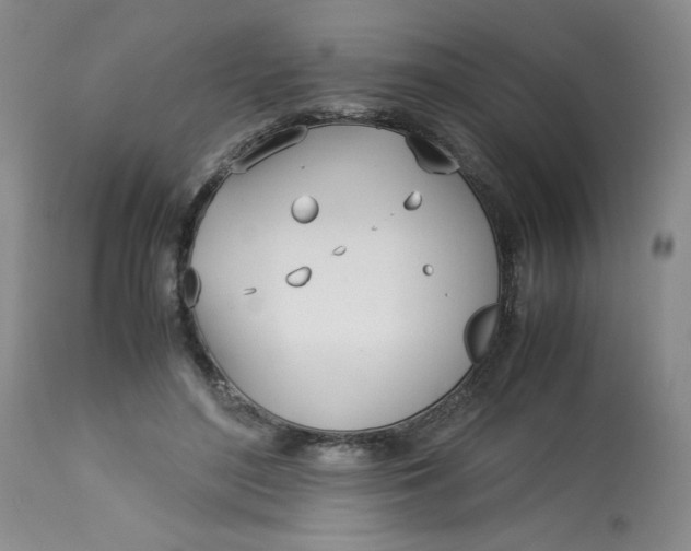 X0000113150500200909251331