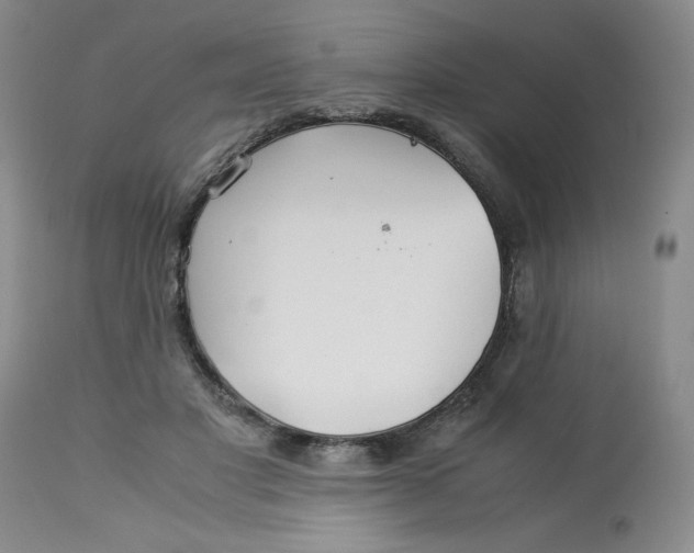 X0000113150501200909251331