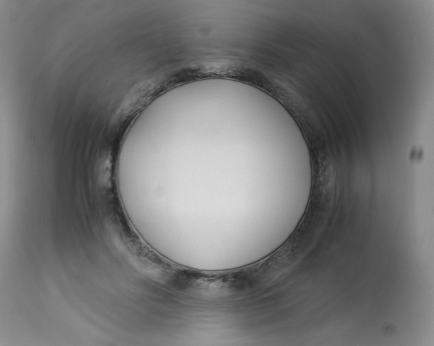 X0000113150502200909251331