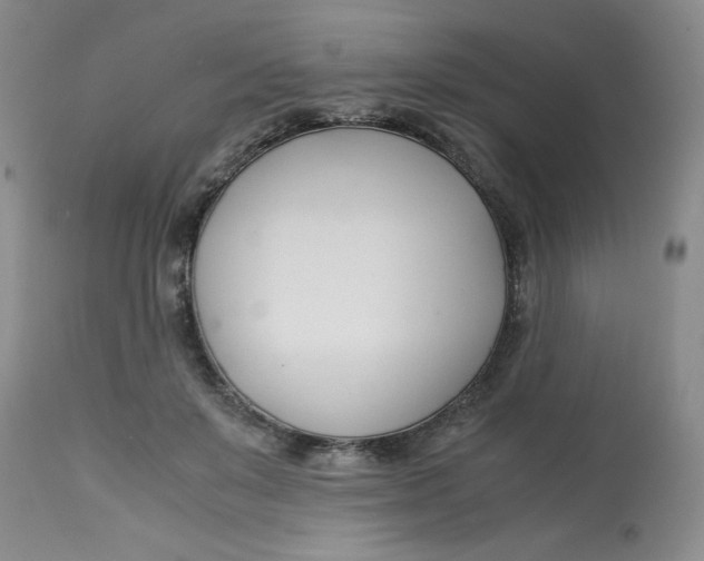 X0000113150503200909251331