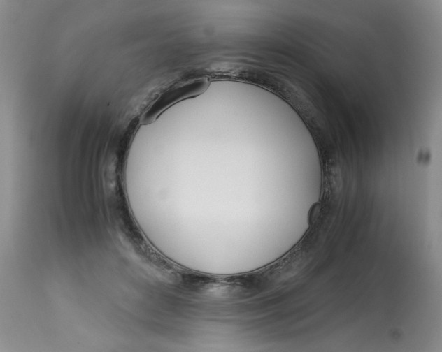 X0000113150504200909251331