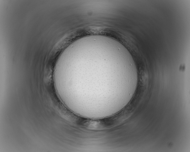 X0000113150507200909251331