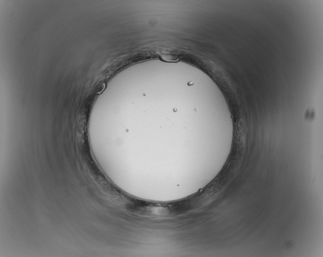 X0000113150509200909251331