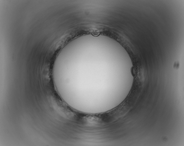 X0000113150512200909251331