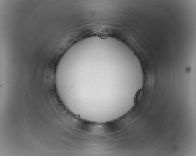 X0000113150513200909251331