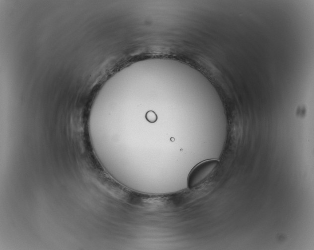 X0000113150516200909251331