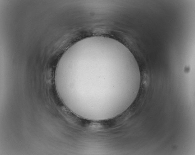 X0000113150519200909251331