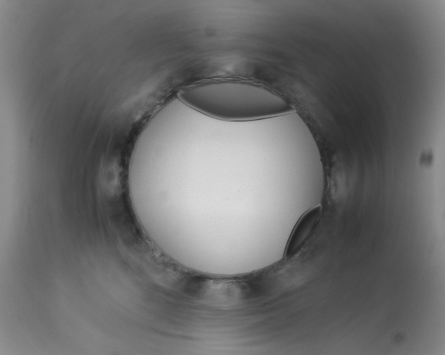 X0000113150520200909251331