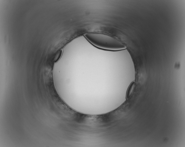 X0000113150521200909251331