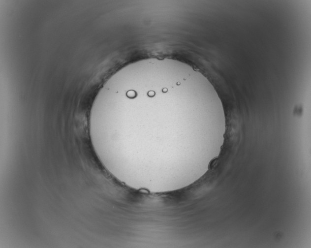 X0000113150523200909251331