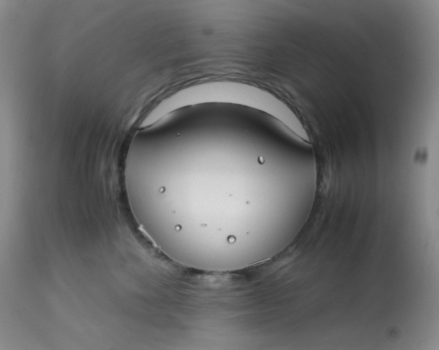 X0000113150524200909251331