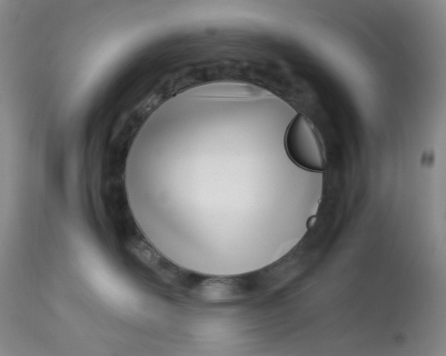 X0000113150526200909251331