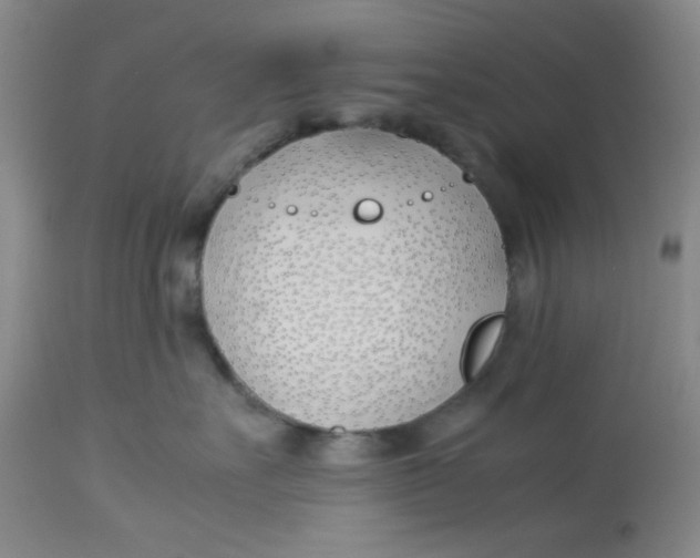 X0000113150527200909251331