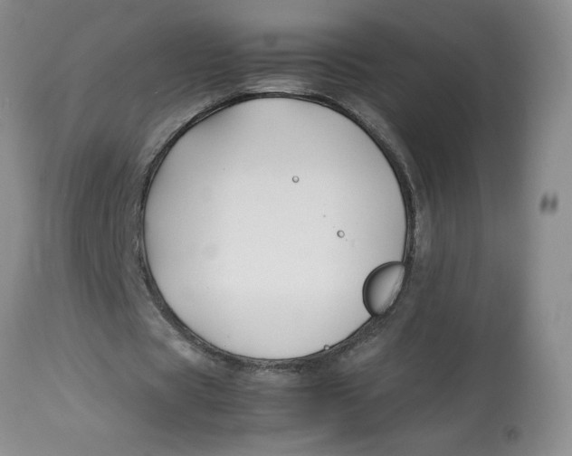 X0000113150529200909251330