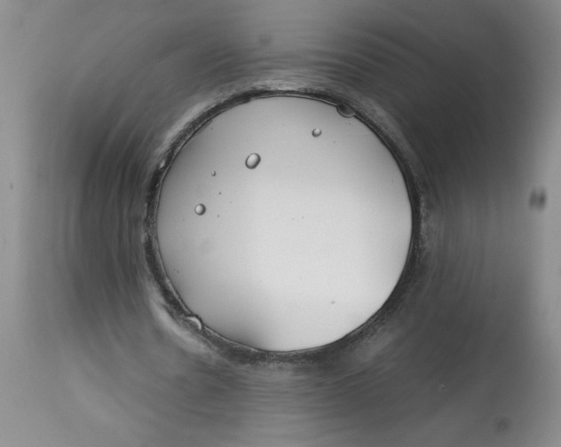 X0000113150530200909251330