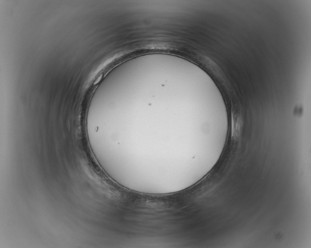 X0000113150531200909251330