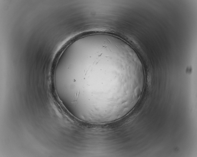 X0000113150532200909251330