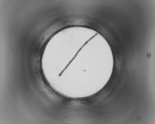 X0000113150534200909251330