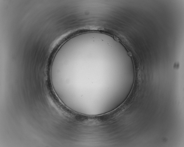 X0000113150536200909251330