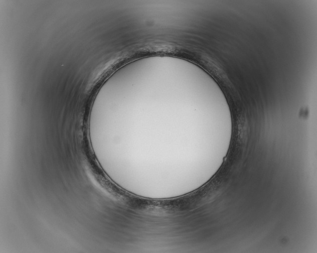 X0000113150538200909251330