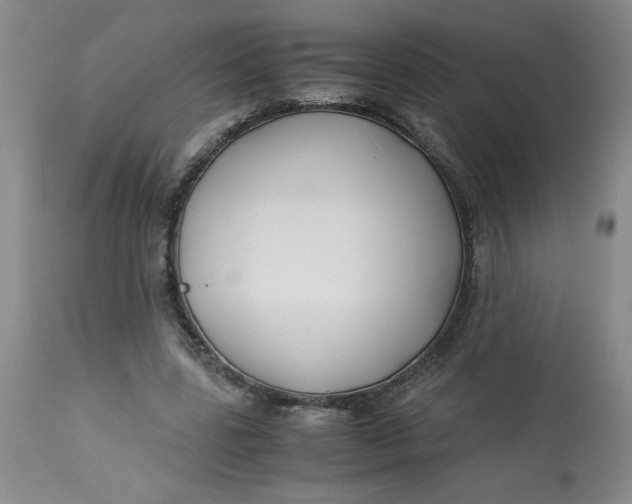 X0000113150539200909251330