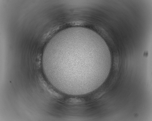 X0000113150545200909251330