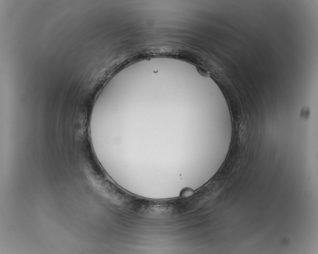 X0000113150546200909251330