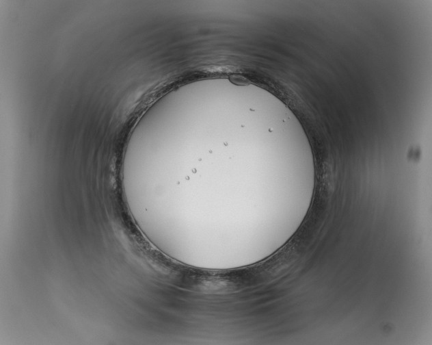 X0000113150547200909251330