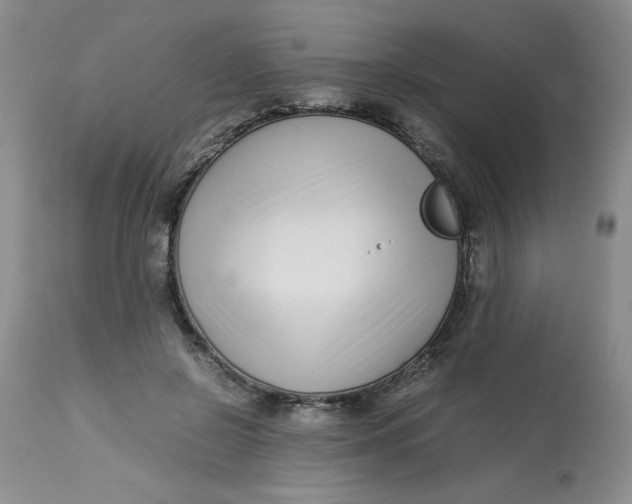 X0000113150550200909251330