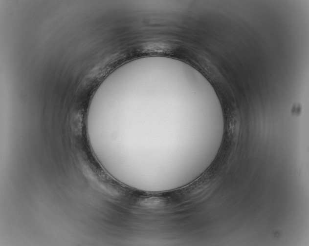 X0000113150551200909251330