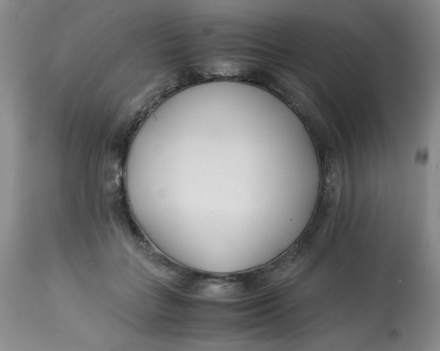 X0000113150555200909251330