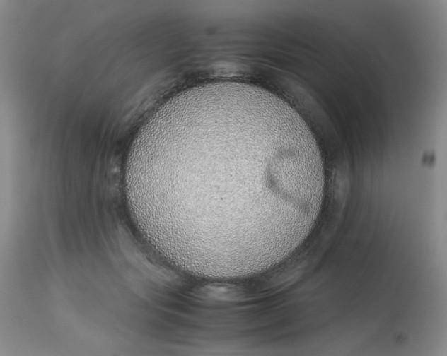 X0000113150557200909251330