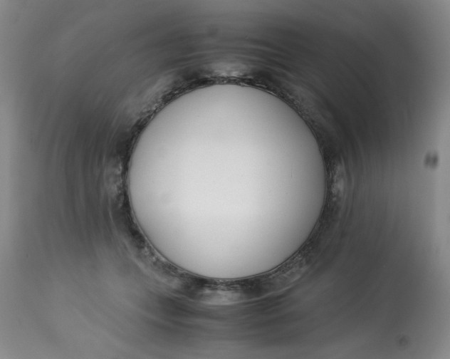 X0000113150559200909251330