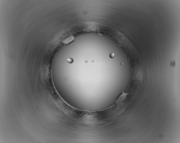 X0000113150560200909251330