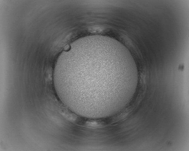 X0000113150561200909251330