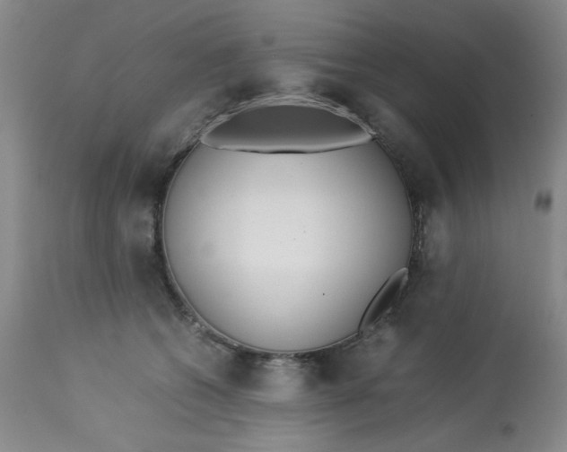 X0000113150562200909251330