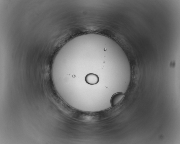 X0000113150563200909251330