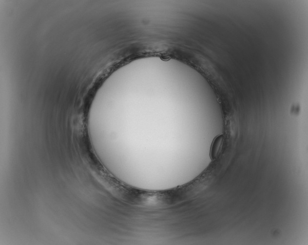 X0000113150564200909251330