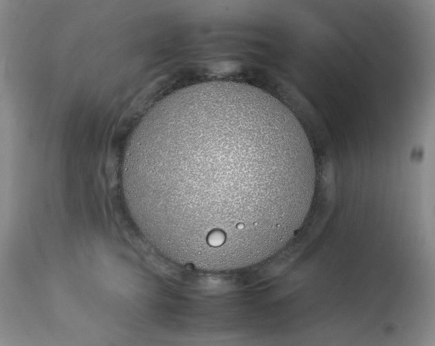 X0000113150565200909251330