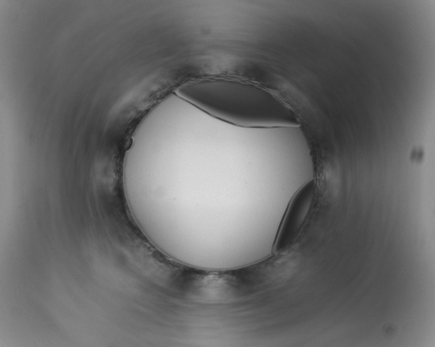 X0000113150566200909251330