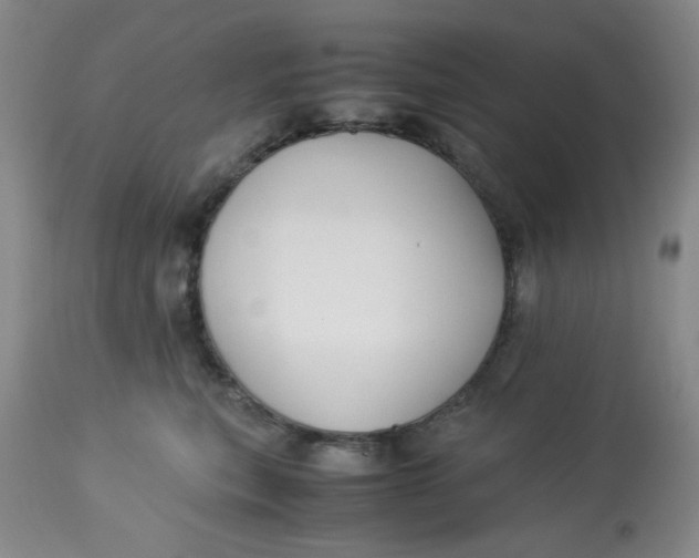 X0000113150567200909251331