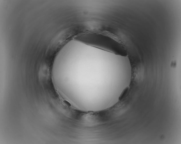 X0000113150568200909251331