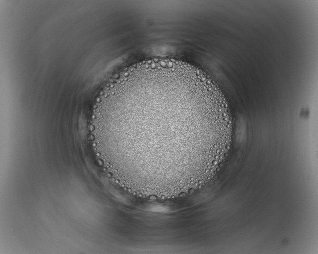 X0000113150569200909251331