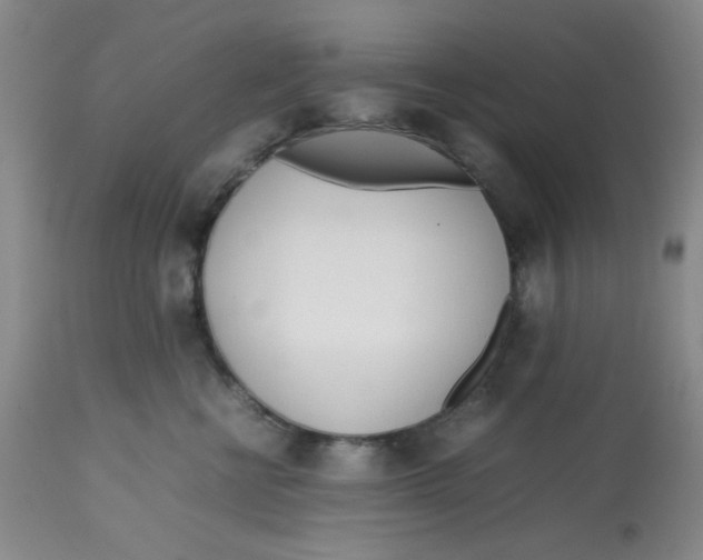 X0000113150570200909251331