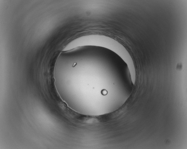 X0000113150572200909251331