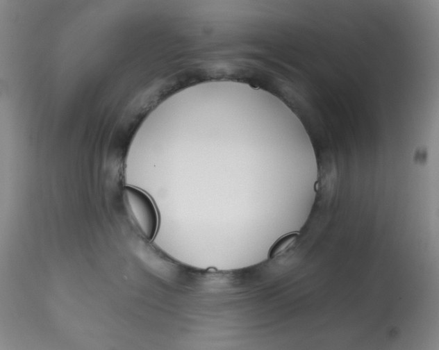 X0000113150574200909251331