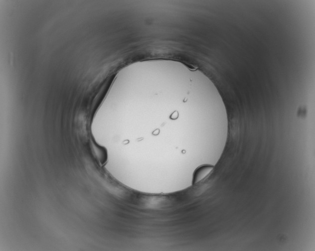 X0000113150575200909251331