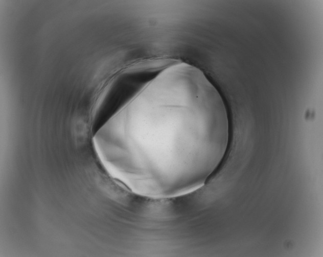 X0000113150576200909251331