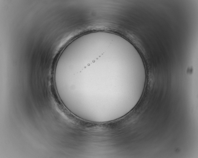 X0000113150578200909251330